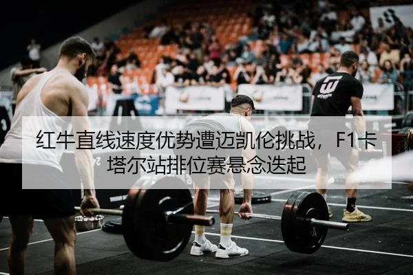 红牛直线速度优势遭迈凯伦挑战，F1卡塔尔站排位赛悬念迭起